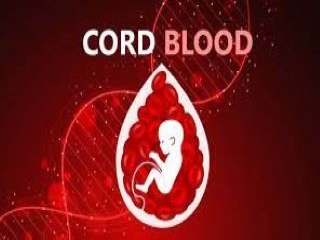 Cord Blood: Knowing the Science, Benefits, and thought to amass for Your Family