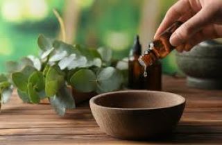 Essential Oils 101: A Guide to Using Aromatherapy for Anxiety and Sleep